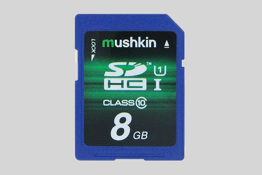 Recuperación de datos de una tarjeta de memoria Mushkin